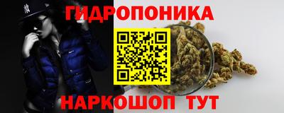 прущие крисы Будённовск