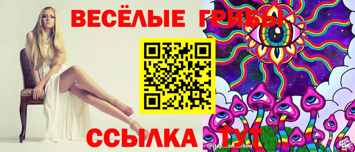 Малгобек  Псилоцибиновые грибы прущие грибы  купить наркотик  Вход с VPN 