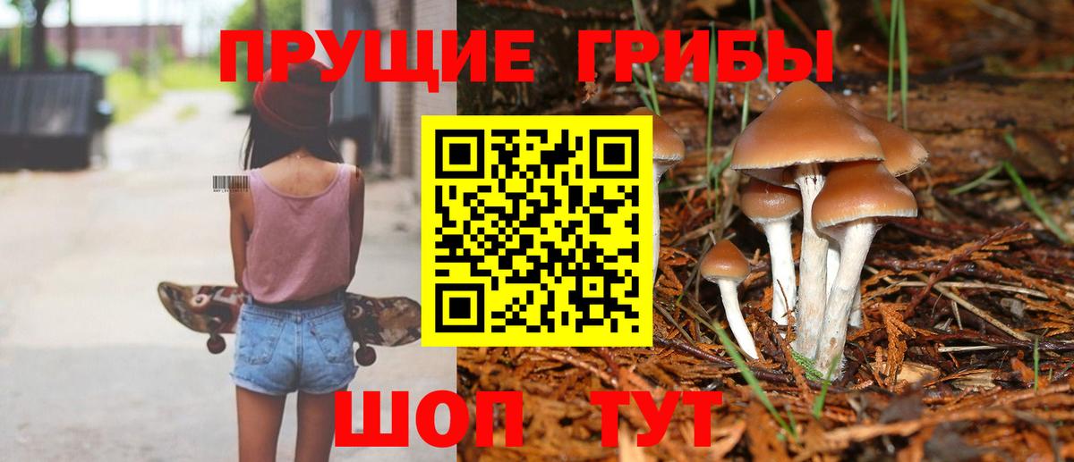 Псилоцибиновые грибы MAGIC MUSHROOMS Малгобек